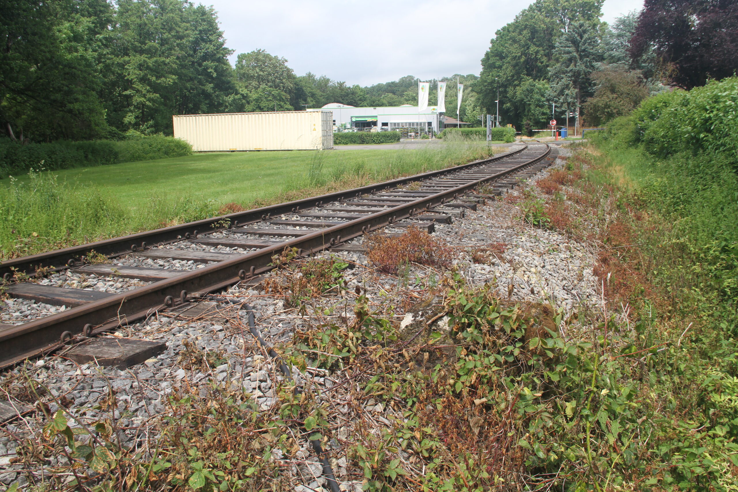 260607_Testfeld_01_Bruecke